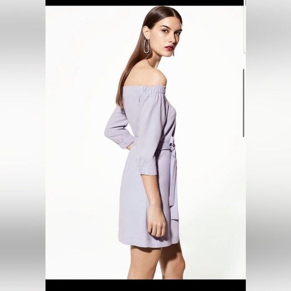 Aritzia Babaton Brightwell Dress - Picture 3 of 10
